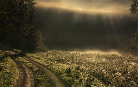 Il fascino della nebbia nella fotografia