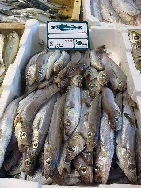 Cronache Slowfish 10 - foto di pesci che dobbiamo imparare a conoscere e comperare