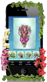 Usa il linguaggio dei fiori per comunicare_KeBouquet! Usa il linguaggio dei fiori per comunicare_KeBouquet!