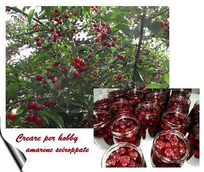 Composte e marmellate di frutta: le Amarene Composte e marmellate di frutta: le Amarene