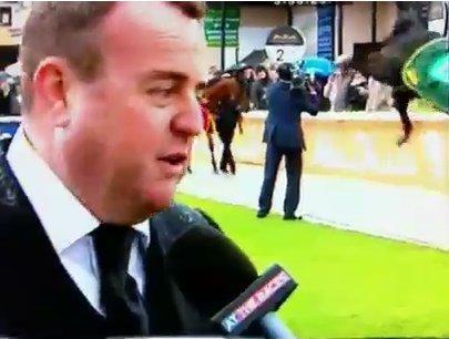 Il cavallo scalcia....il CAMERAMAN! Il cavallo scalcia....il CAMERAMAN!