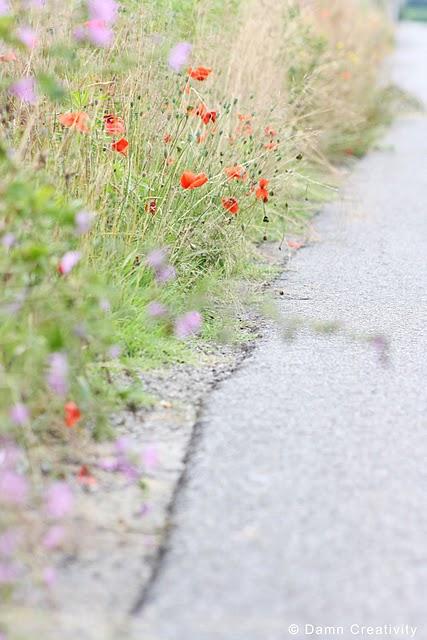 Country Road