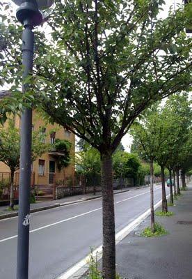 INNESTI SOTTO L'ACQUA ovvero NIENTE CI FERMA! INNESTI SOTTO L'ACQUA ovvero NIENTE CI FERMA!