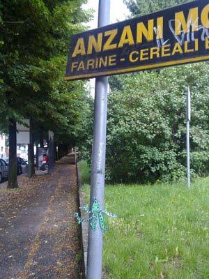 INNESTI SOTTO L'ACQUA ovvero NIENTE CI FERMA! INNESTI SOTTO L'ACQUA ovvero NIENTE CI FERMA!