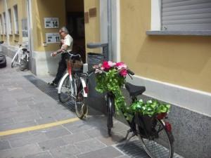 seggio voto votazione referendum bici