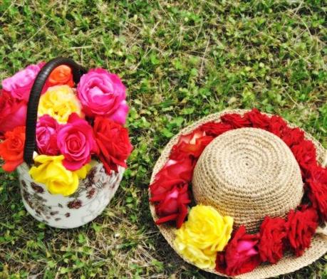 DSC_4179 Bed of roses.