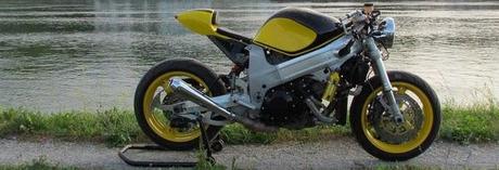 tl1000-r-cafe-racer-L-lTDgB_.jpeg