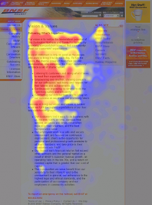 Il comportamento del lettore nel web