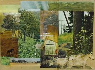 Giardini d'artista _8 little gold poppy Giardini d'artista _8 little gold poppy