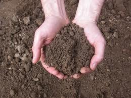 Giocare all'aria aperta: acqua, aria, terra! Giocare all'aria aperta: acqua, aria, terra!