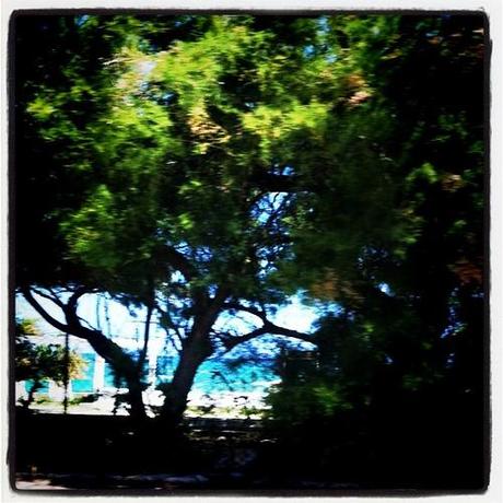 Some summer pictures f5