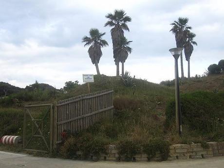 First weekend this summer First weekend this summer