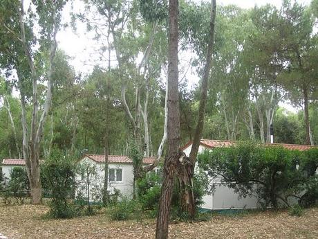 First weekend this summer First weekend this summer