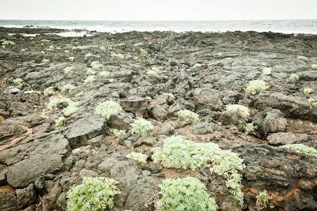 Linosa: l'altra Lampedusa. Quando sbarcarono i mille