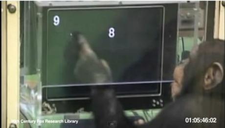 Viral point: i video-doc de L’alba del pianeta delle scimmie