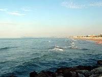 COLIBATTERI FECALI IN ROSA COLIBATTERI FECALI IN ROSA