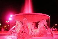 COLIBATTERI FECALI IN ROSA COLIBATTERI FECALI IN ROSA