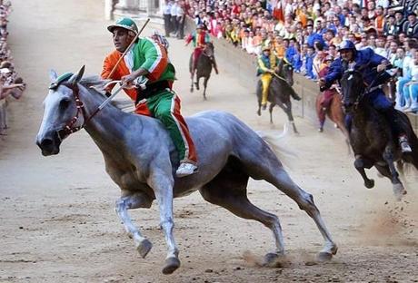 La mucca da latte al Palio di Siena La mucca da latte al Palio di Siena