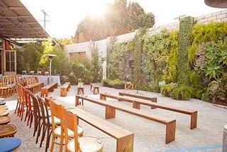 Matrimonio al caldo...cactusMAnia Matrimonio al caldo...cactusMAnia