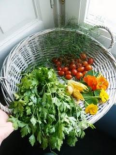 La soddisfazione che provoca la raccolta dei frutti del proprio orto è qualcosa di inebriante La soddisfazione che provoca la raccolta dei frutti del proprio orto è qualcosa di inebriante