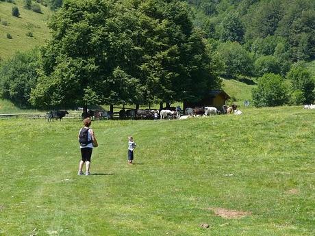 IL LAGO-MONTAGNA ovvero A ME LE MUCCHE FANNO PAURA...