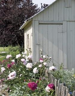 Garden shed_ capanno per gli attrezzi ma chic Garden shed_ capanno per gli attrezzi ma chic