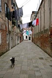 Venezia intorno al carnevale