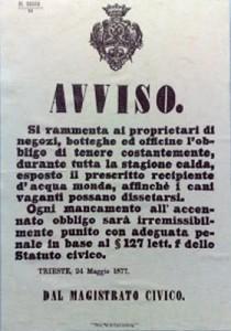 Un avviso datato 24 maggio 1877, nella Trieste austro-ungarica