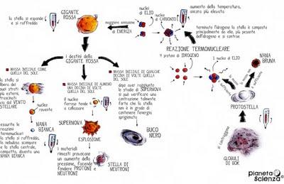 Schema: nascita, vita e morte di una stella