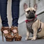 kandee peanut2 kandee peanut2