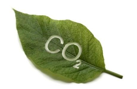 Inviare un e-mail produce 19 grammi di CO2 Inviare un e-mail produce 19 grammi di CO2