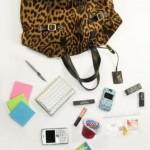 inside bag inside bag