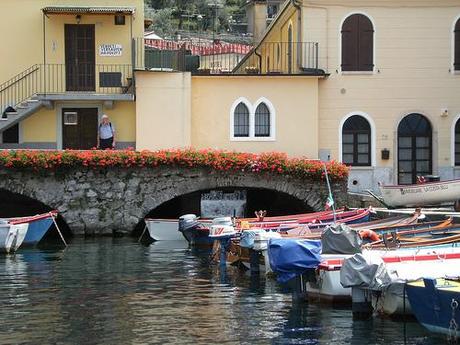 ponte - cassine