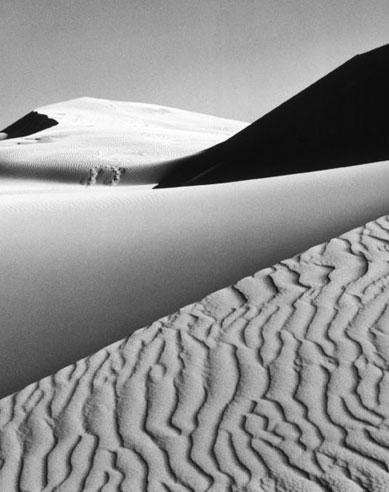 Ansel Adams, il fotografo dell’america polverosa