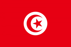 Tunisia, dopo la Primavera è tempo di estate: cammellieri in sciopero