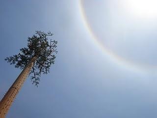CAMUFFIAMO LE ANTENNE!!! CAMUFFIAMO LE ANTENNE!!!