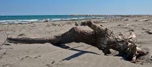 Fotografie in spiaggia