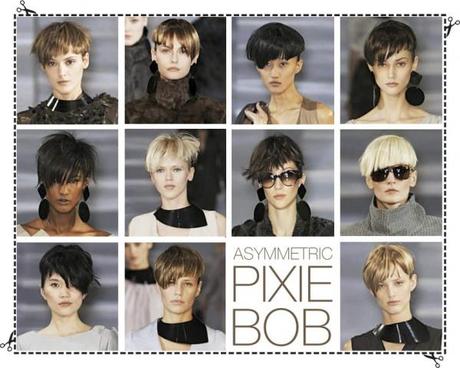 Pixie-Bob!