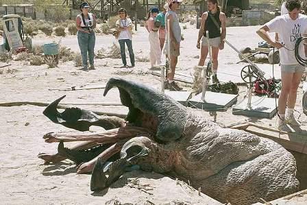 Tremors (1990)