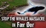 Stop the whales massacre!