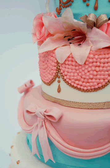 FOOD-Camilla Rossi’s Cakes