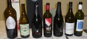 Aosta, Expo Vini 2011