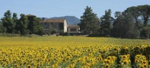 Toscana, Treno-trekking in Mugello