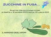 FIOR DI ZUCCHINA FARCITI E FRITTELLE GOLOSE!