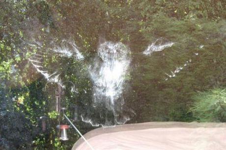 Obbligo di volo con lenti - Ovvero: quando il Vetril provoca traumi cranici http://img220.imageshack.us/img220/9890/29958185951.jpg