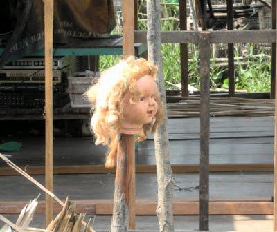 la testa di bambola sul Tonle Sap