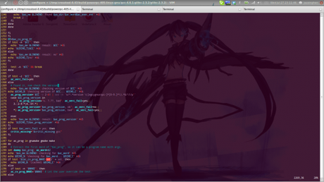 Crosstool 07 - Eccoti, stronzo Uno screenshot del mio PC mentre cerco la riga colpevole