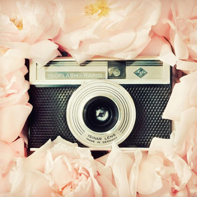 Anche il blog va in vacanza Anche il blog va in vacanza