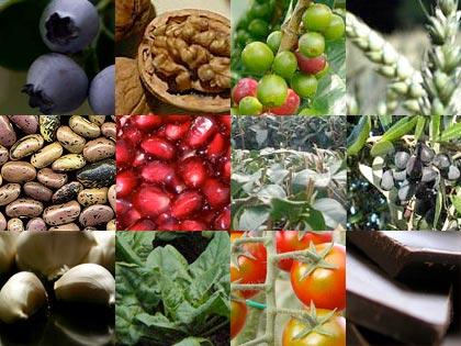 12 alimenti dal Regno vegetale che aiutano a migliorare il nostro cervello