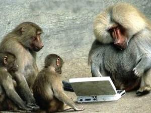 Il gruppo Facebook de ‘La scimmia nuda e Internet’